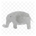 Elefante  Ícone