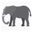 Elefante  Icono