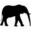 Elephaant Animals Icon