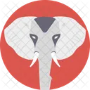 Elephant Mammal Animal Icon