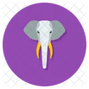 Elephant Animal Creature Icon