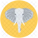 Elephant Animal Zoo Icon