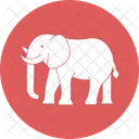 Elephant Proboscidea Mammoths Icon