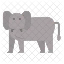 Elephant Pet Kingdom Icon