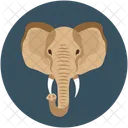 Elephant Forest Wild Icon