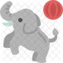 코끼리 동물 공연 아이콘