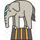 Elephant Show Animal Icon