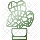 Elephant ear  Icon