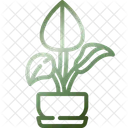 Elephant ear  Icon