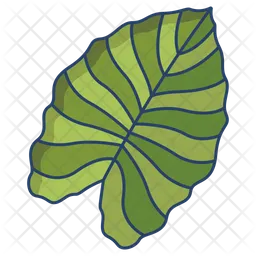 Elephant Ear Leaf  Icon