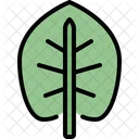 Elephant ear leaf  Icon