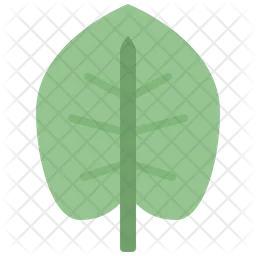 Elephant ear leaf  Icon