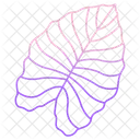Elephant Ear Leaf  Icon