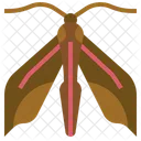 Elephant Hawk Moth Animal Kingdom Caterpillar Icon
