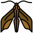 Elephant Hawk Moth  Icon