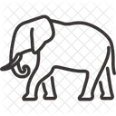 Animal Land Animal Terrestrial Animal Icon