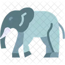 Elephant Animal Wildlife Icon