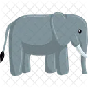 Elephant  Icon