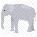 Elephant Heavy Animal Trunk Icon