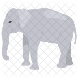 Elephant  Icon