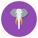 Elephant  Icon