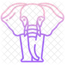 Elephant Animal Mammonth Icône
