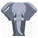 Elephant Animal Mammonth Icône