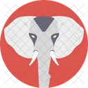 Elephant Mammal Animal Icon