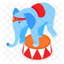 Elephant Performance Elephant Circus Icon