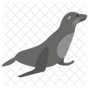 Walrus Pinniped Sea Lion Icon