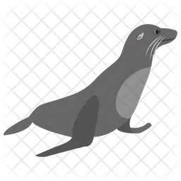 Elephant Seal  Icon