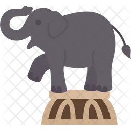 Elephant Show  Icon