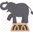 Elephant Show  Icon