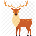 Elk  Icon