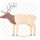 Elk Deer Animal Icon
