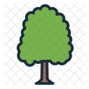 Elm Tree Botanical Icon