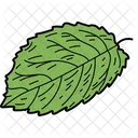 Elm Leaf Leaf Foliage Icon