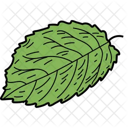 Elm Leaf  Icon