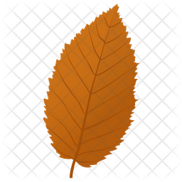 Elm Leaf Icon