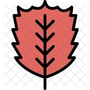 Elm leaf  Icon