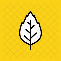 Elm leaf  Icon