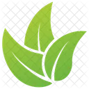 Elm Leaves Logo Leaves Leaves Logo Icon
