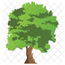 Elm Tree  Icon
