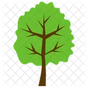 Elm Tree Planting Icon