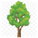 Elm Tree  Icon
