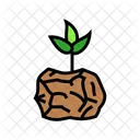 Compostable Emballage Durable Icône