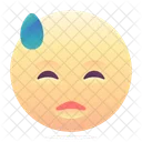 Embarrassed Emoji Smiley Icon