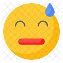 Embarrassed  Icon