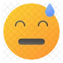 Embarrassed  Icon