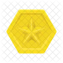 Distintivo Medalha Estrela Ícone